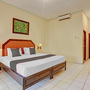 Chambre Standarde Lit King-Size